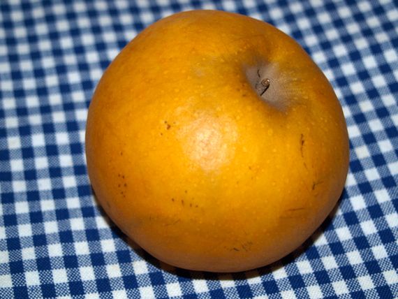 apfel