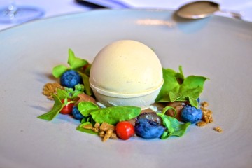 WACHOLDER: Schildampfer, Speierling, Vogelbeeren