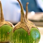 thai-auberginen3