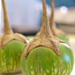 thai-auberginen5