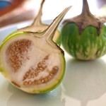 thai-auberginen6