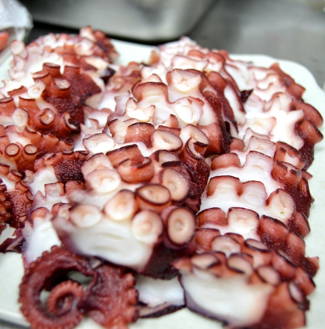 frischer-tintenfisch