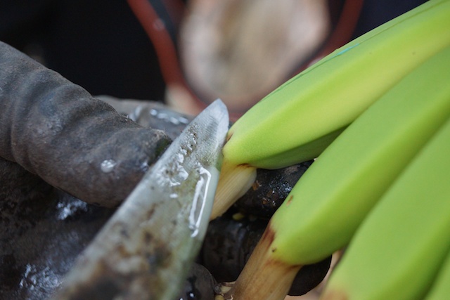 Bananen aus La Palma - köstlich natürlich