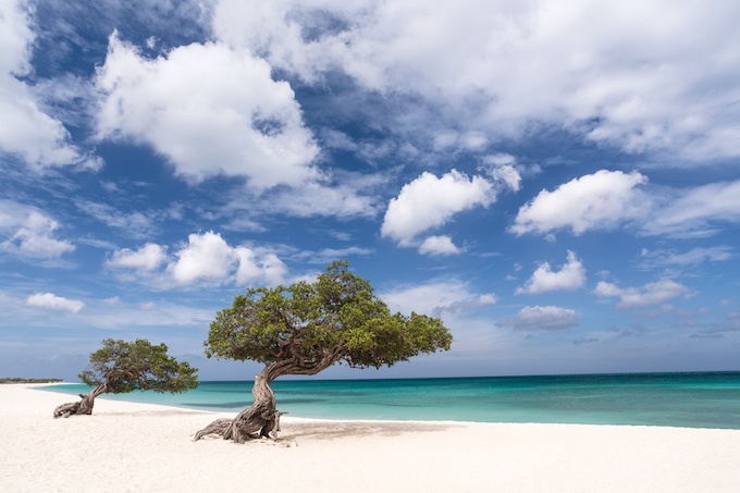 ritzcarlton_ARUBA_00005 (2)