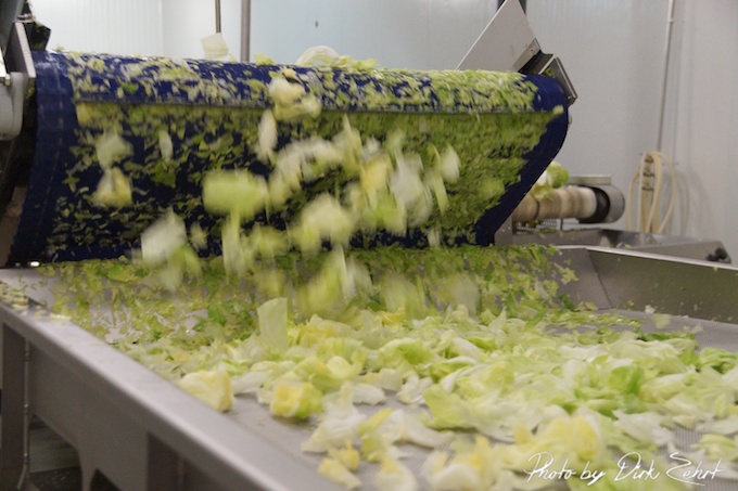 salat Verpackung in Murcia