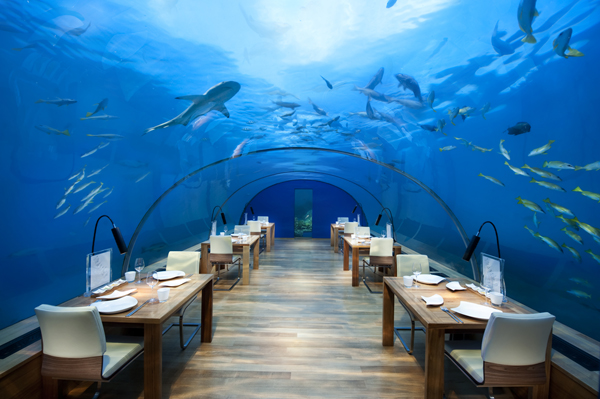 Conrad Maldives_Ithaa Undersea Restaurant (3)