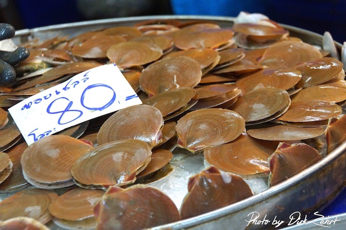 Fischmarkt-samut-prakan-thailand 14