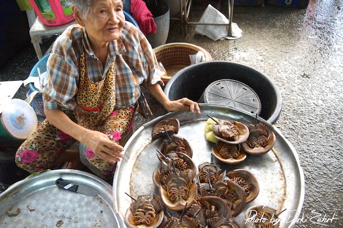Fischmarkt-samut-prakan-thailand 18