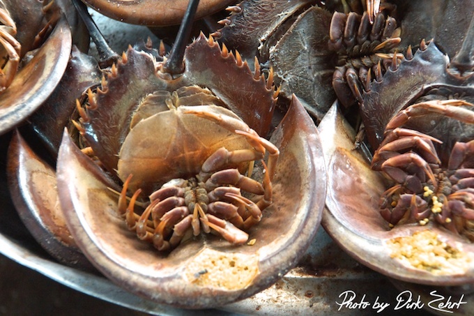 Fischmarkt-samut-prakan-thailand 19