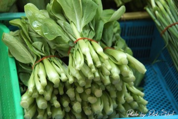 Superfoods - Gesundes Grün