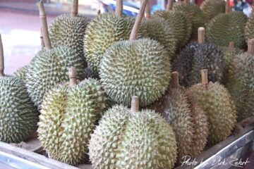 Durian und ihre Kalorien