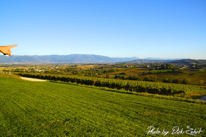 Tenuta Castelbuono und der Blick auf die Weinberge
