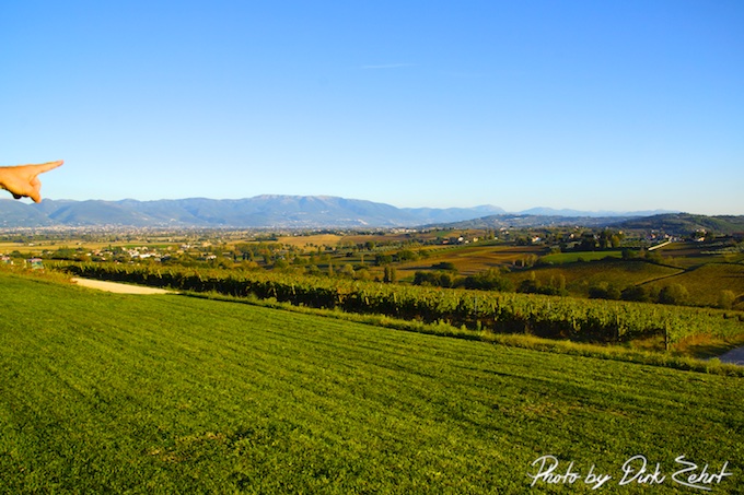 Tenuta Castelbuono und der Blick auf die Weinberge 