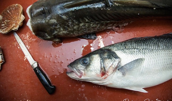 Frischer Fisch - am besten aus nachhaltigem Fang
