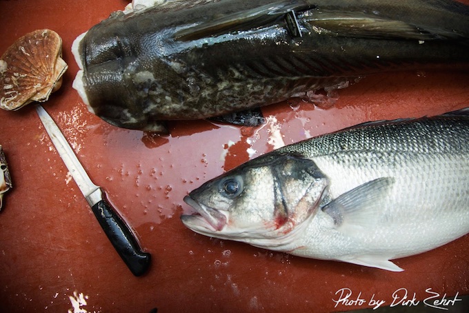 Frischer Fisch - am besten aus nachhaltigem Fang