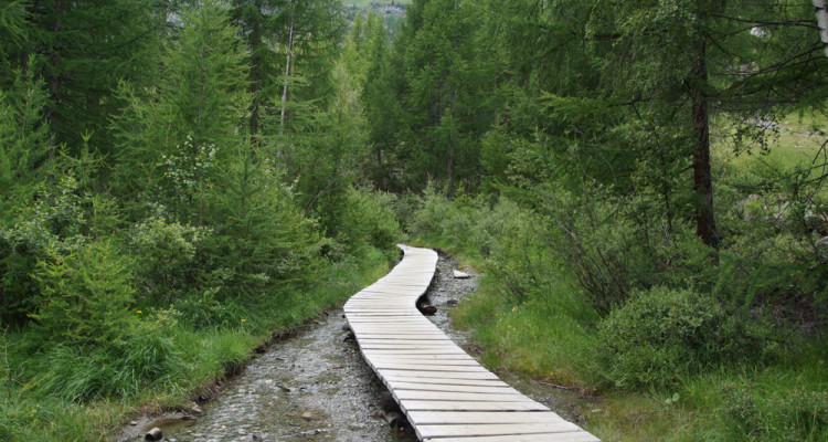 Suone Beitra Rundweg Visperterminen