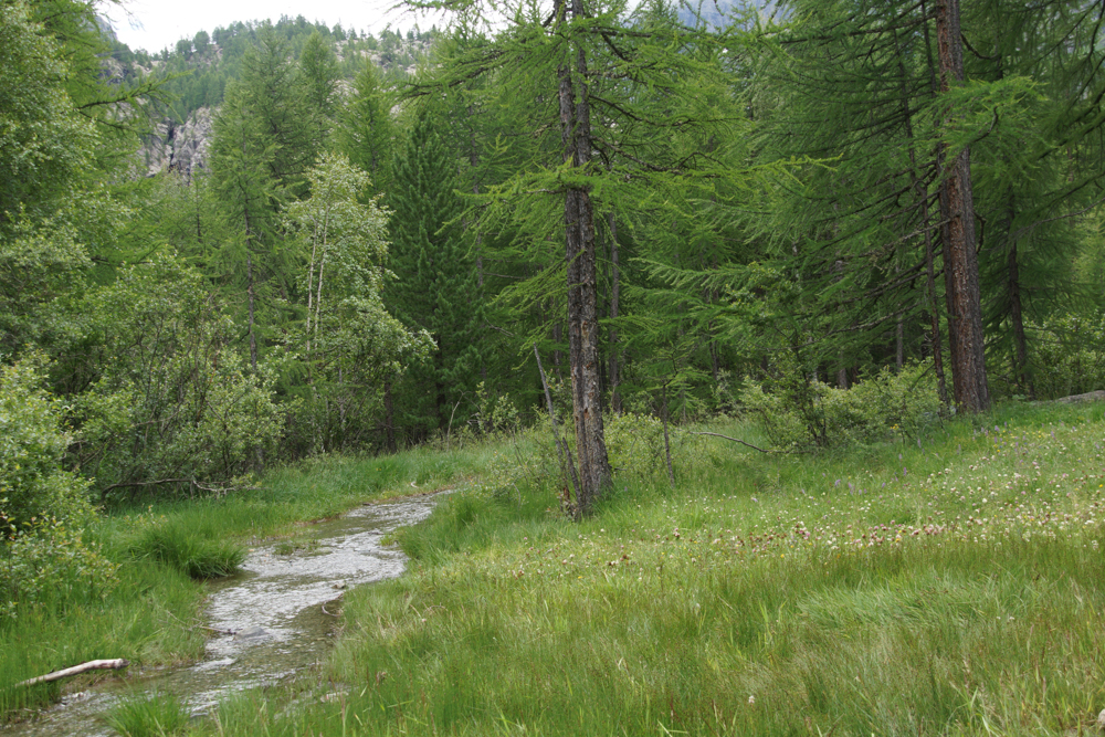 Suone Beitra Rundweg Visperterminen - Tolle Landschaft