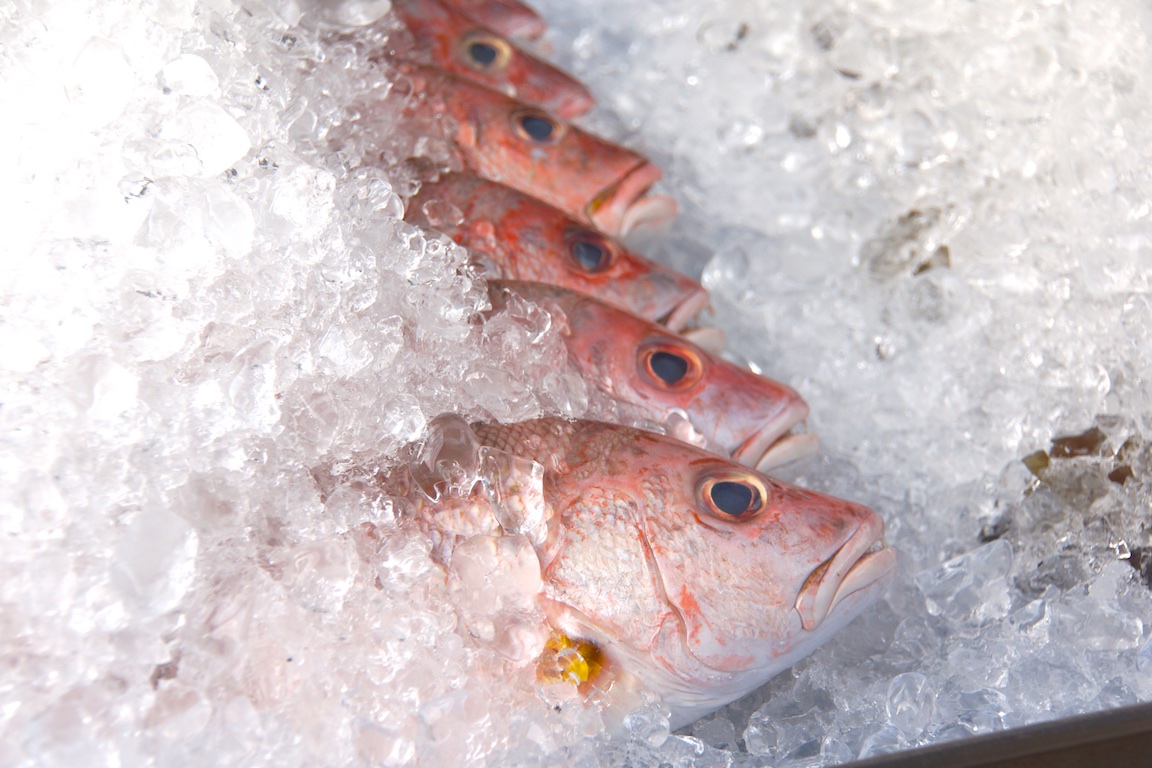 Frisch muss er sein, der Fisch aus dem Meer