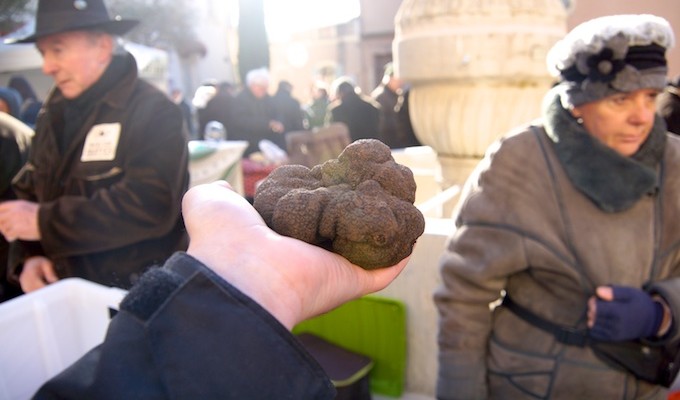 Trüffelmarkt Saint-Paul-Trois-Châteaux - Die größte Trüffel