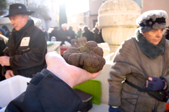 Trüffelmarkt Saint-Paul-Trois-Châteaux - Die größte Trüffel