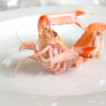 Rech Restaurant Paris Langustenteller