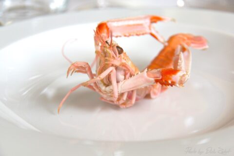 Rech Restaurant Paris - Languste
