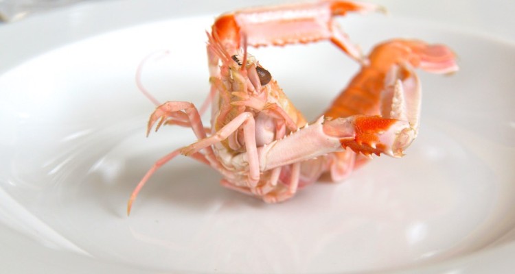 Rech Restaurant Paris - Languste
