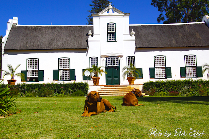 Buitenverwachting Haupthaus