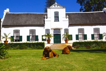 Buitenverwachting Haupthaus