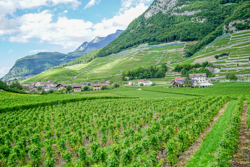 Aigle und sein Weinbau im Kanton Waadt