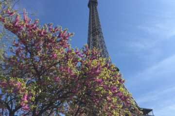 Pariser Eiffelturm