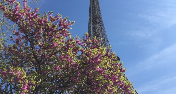 Pariser Eiffelturm