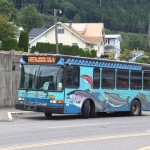 Busse verziert mit Lachsen in Ketchikan