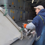 Der Lachs wird dann ausgeladen, wo er gewogen wird