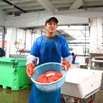 Ein Korb voller Lachsrogen - Alaska Lachs eine wertvolle Delikatesse