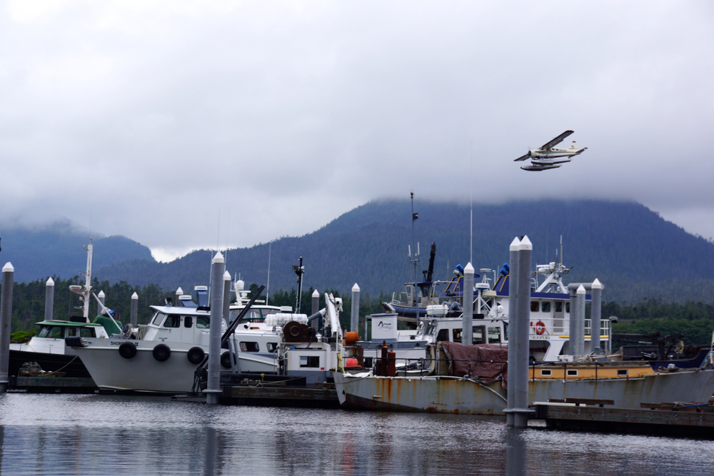 Hafen für Lachsfischer - Kodiak Island - Am besten mit dem Wasserflugzeug zu erreichen