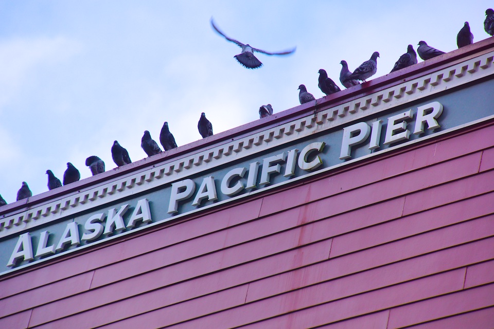 Juneau - Alaska Pacific Pier