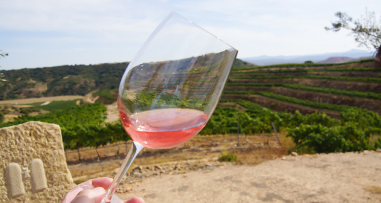Wein aus Italien - Eine Köstlichkeit