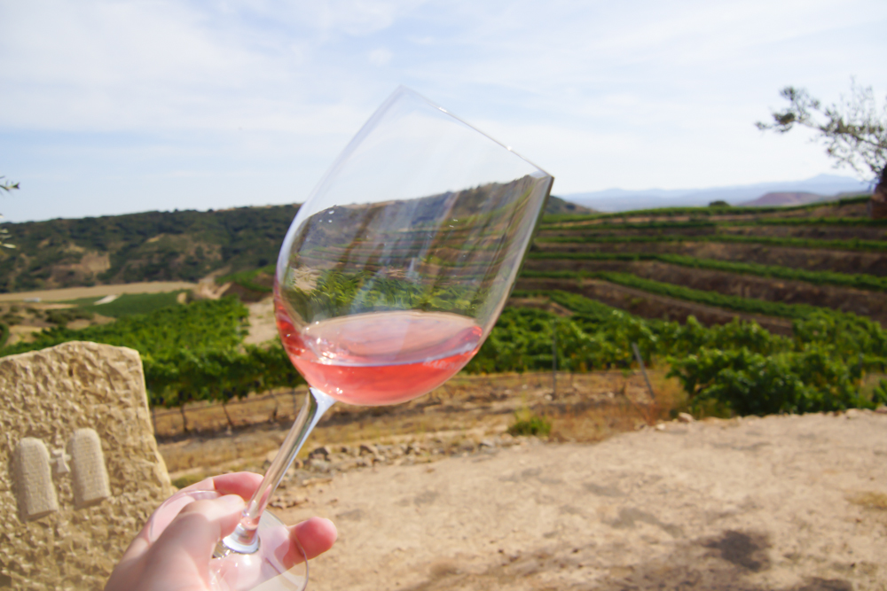 Wein aus Italien - Eine Köstlichkeit
