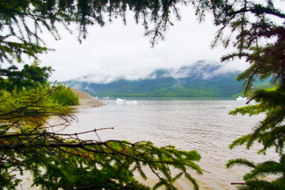 Die Wildnis Alaskas - Hat Kulinarisch einiges zu bieten