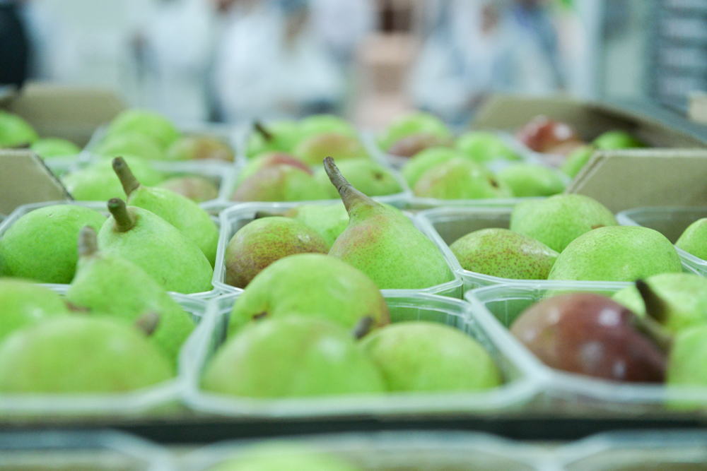 Pêra Rocha Birnen aus Portugal - Verarbeitet und Verpackt