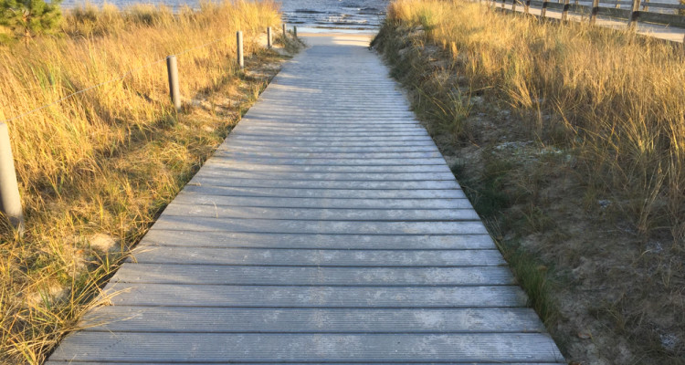 Wandern auf der Insel Usedom - Strandwandern von Trassenheide nach Ückeritz