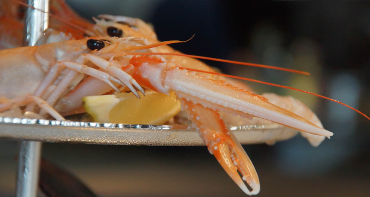 Brasserie Adriatic - Langustinen