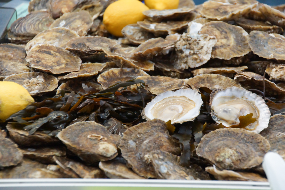 Marché de Talensac in Nantes - Austern vom Allerfeinsten