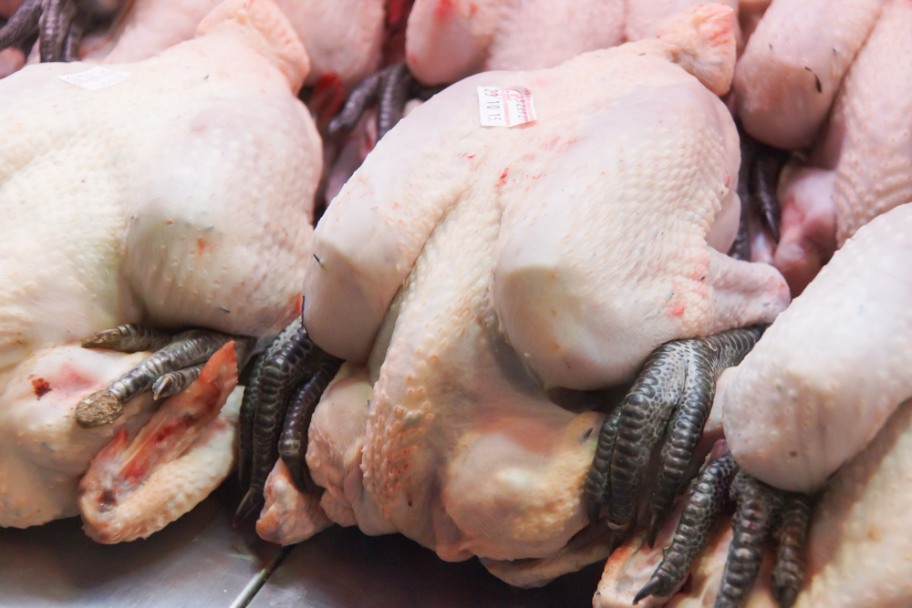 Marché de Talensac in Nantes - Hähnchen, noch mit Füßen