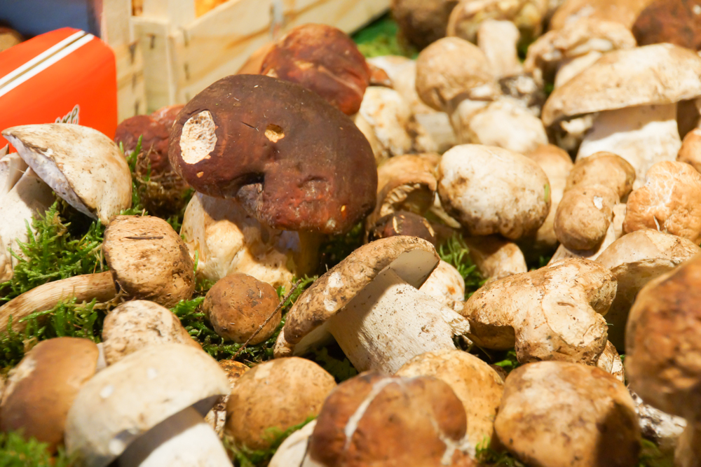 Marché de Talensac in Nantes - Unglaublich leckere Steinpilze