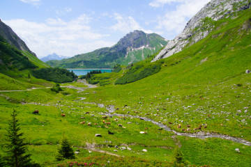 Arlberger Land - perfekt zm Wandern
