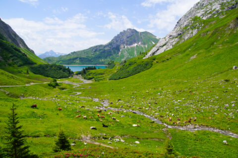 Arlberger Land - perfekt zm Wandern