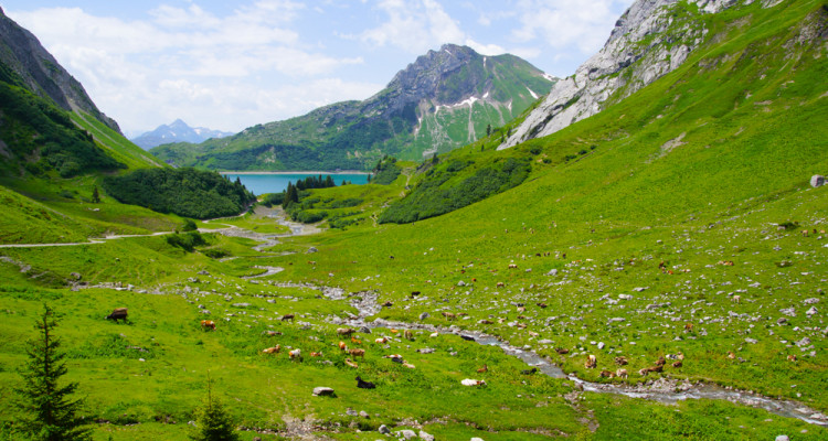 Arlberger Land - perfekt zm Wandern