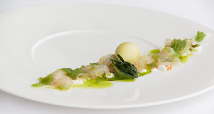 Rugard's Gourmet - Marinierter Barsch mit Boskop und Rote Beete